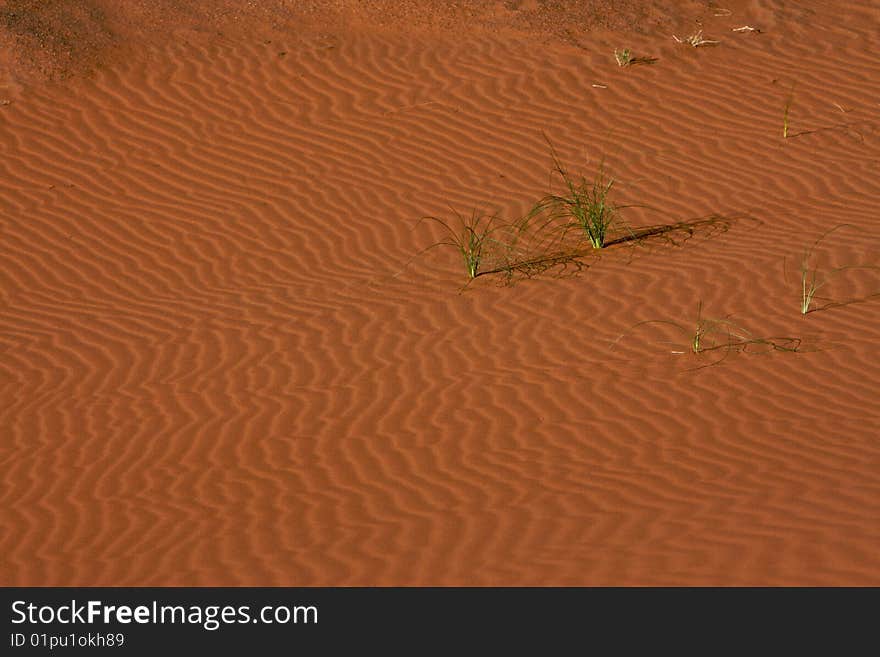 Waves curves at sand of desert. Waves curves at sand of desert