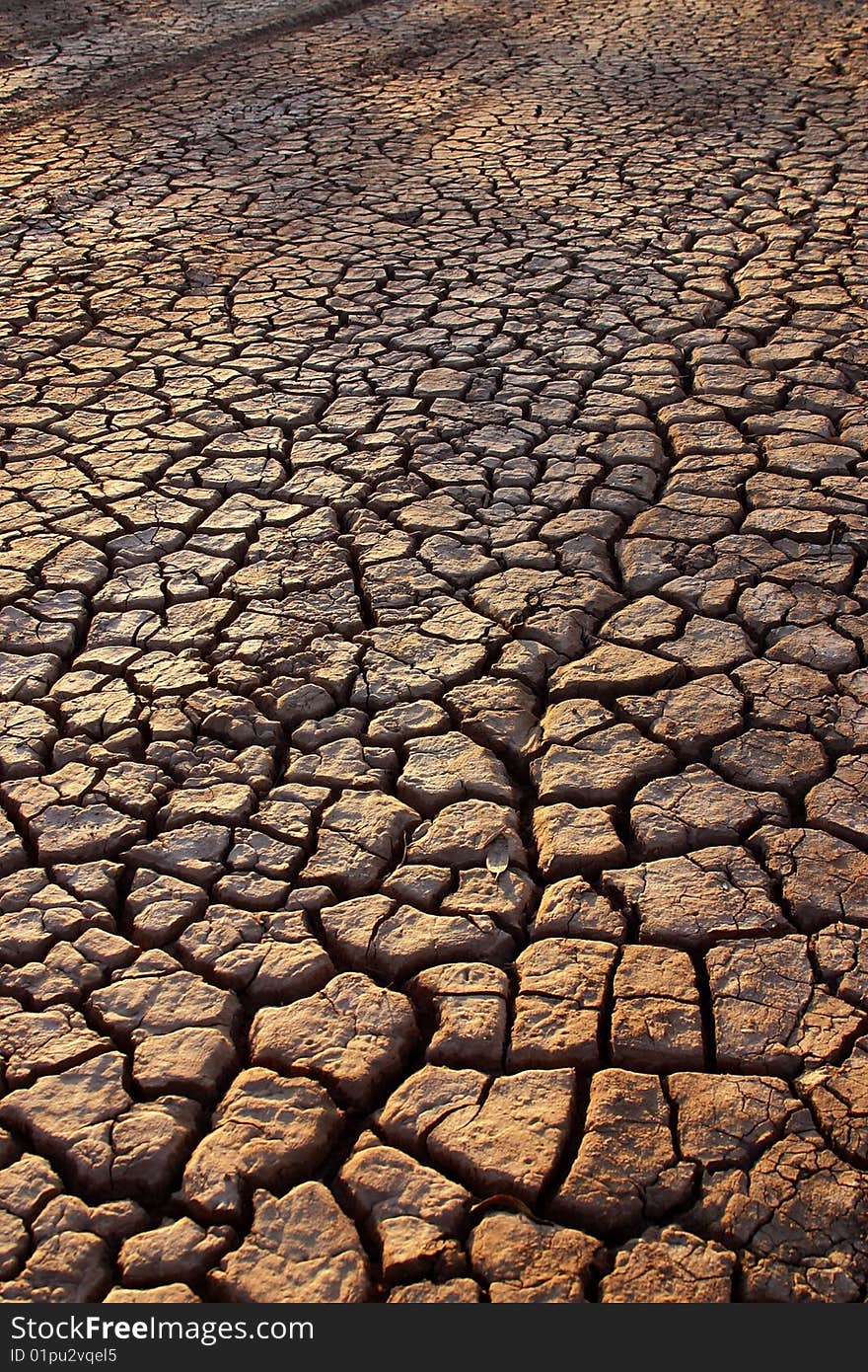 Desert detain in Baja California, Mexico