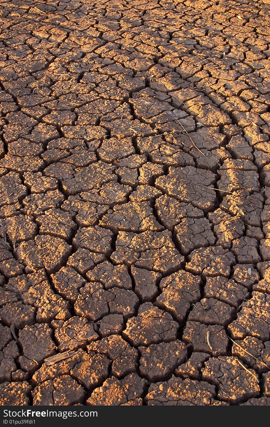 Desert detain in Baja California, Mexico