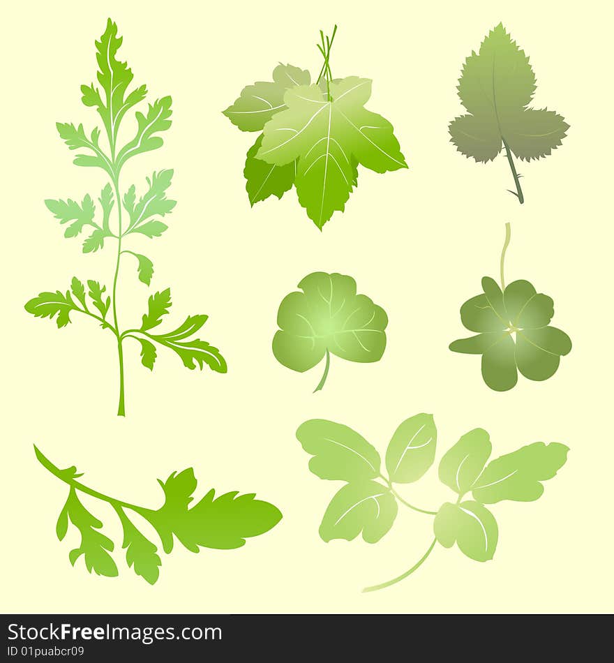 Vector illustration set of design  plants silhouettes