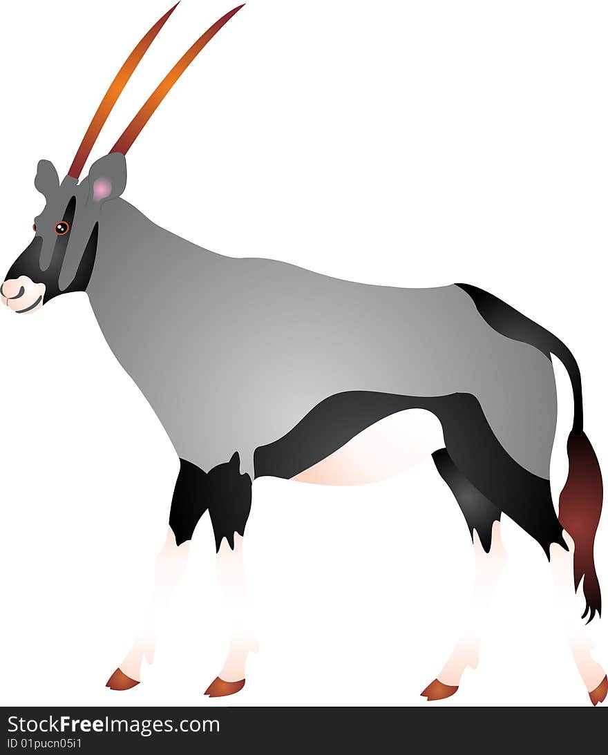 Gemsbok