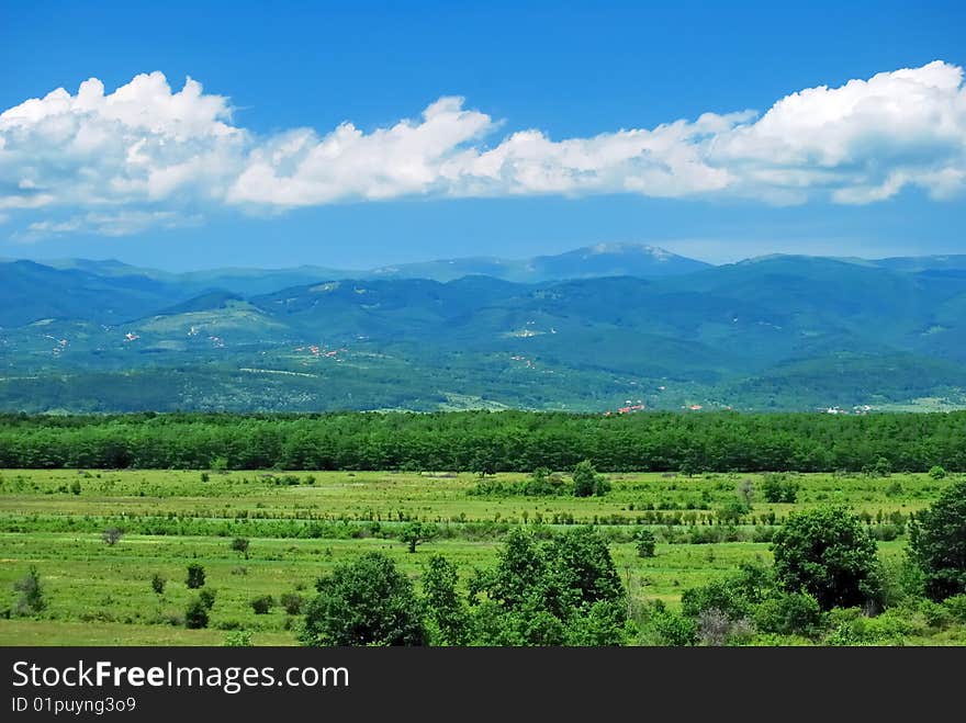 Summer landscape