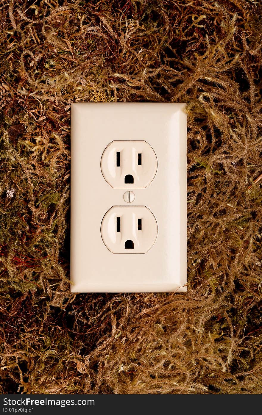 An American power outlet on a moss covered background. An American power outlet on a moss covered background