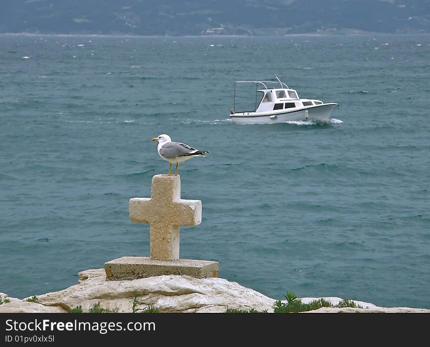 Gull on rain day and wind keeping a boat. Gull on rain day and wind keeping a boat