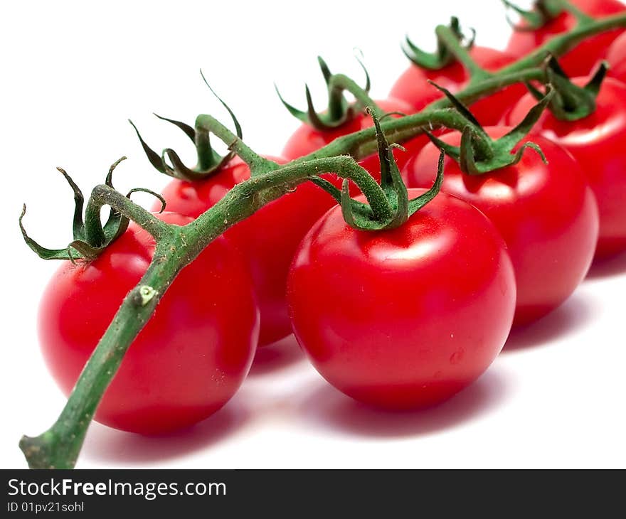 Branch of cherry tomato isolated. Branch of cherry tomato isolated