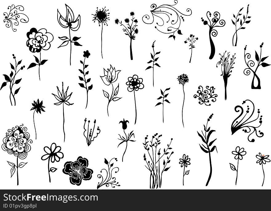 Black flowers illustration drawing on white background. Black flowers illustration drawing on white background