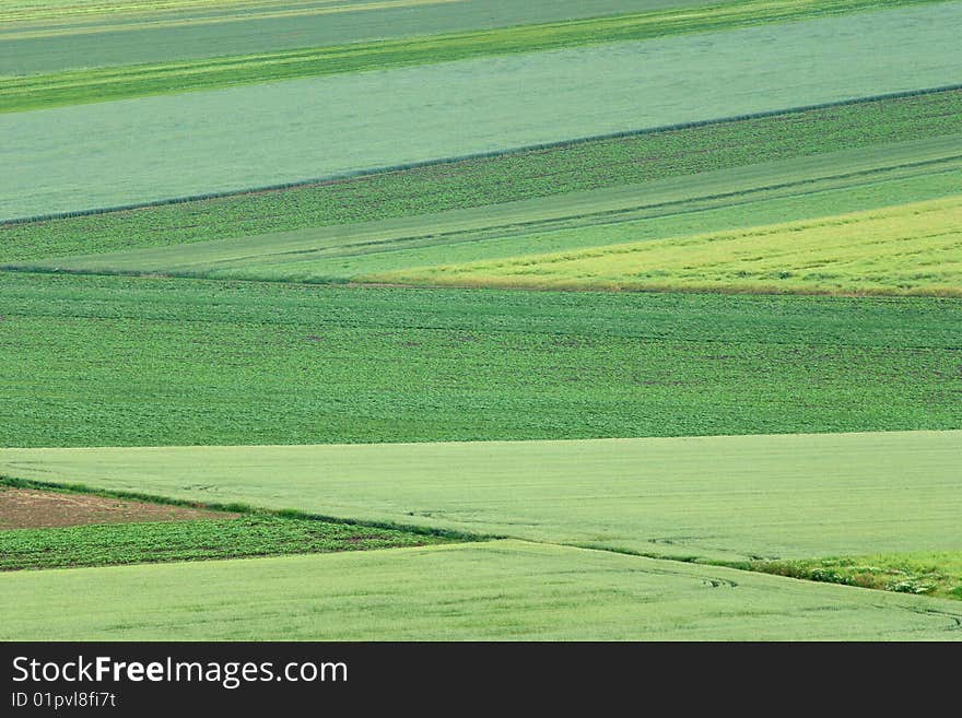 Cultivated land in a specific pattern. Cultivated land in a specific pattern