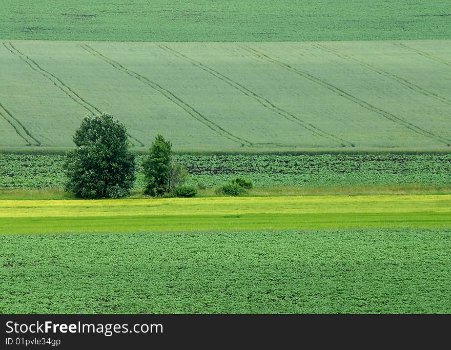 Cultivated land in early spring landscape. Cultivated land in early spring landscape