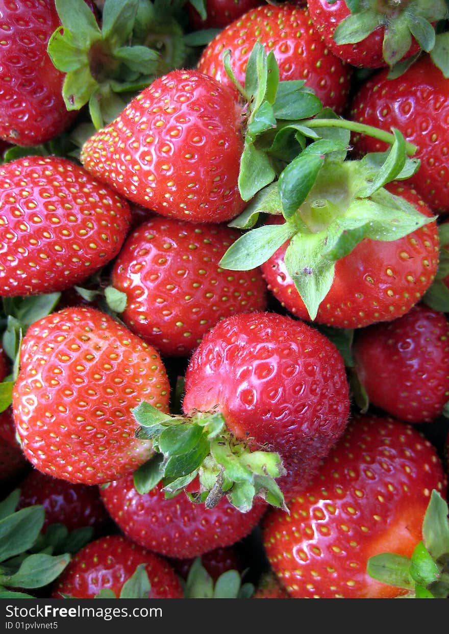 A luscious background of fresh strawberries