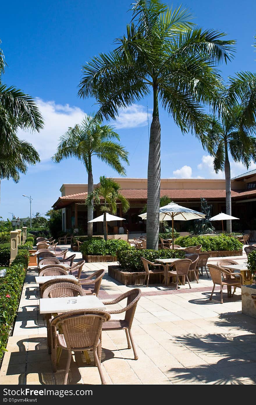 Tables and chairs on patio  in the hotel near bush grass palms blue sky. Tables and chairs on patio  in the hotel near bush grass palms blue sky