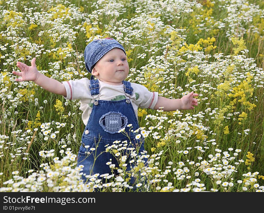 In the field with camomiles the little boy plays. In the field with camomiles the little boy plays