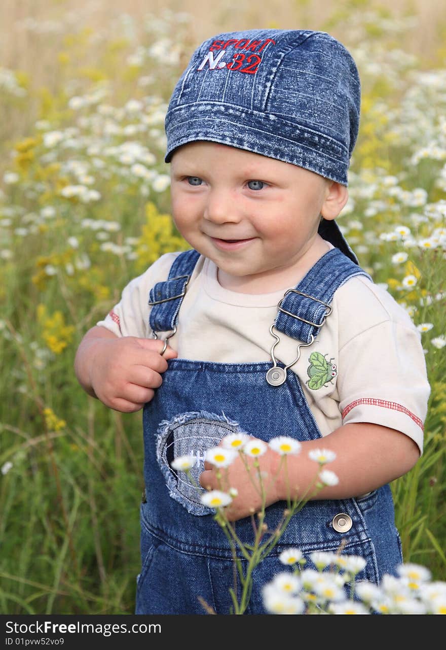 The little boy in a meadow with camomiles. The little boy in a meadow with camomiles