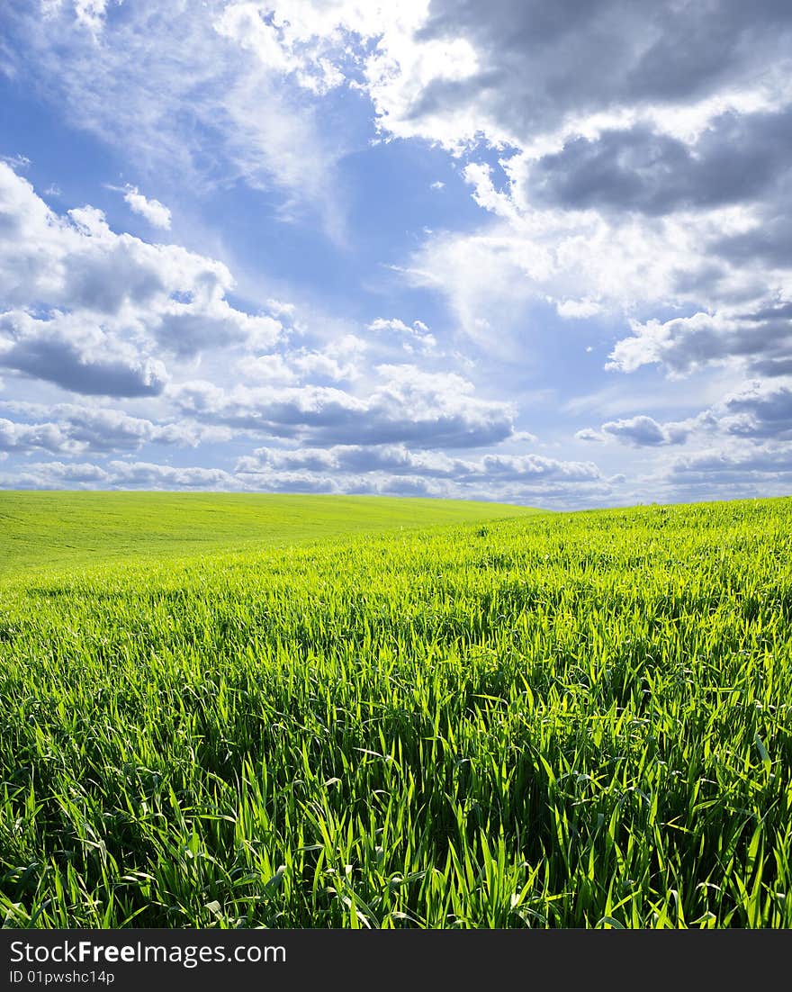 Green meadow under blue sky with clouds. Green meadow under blue sky with clouds