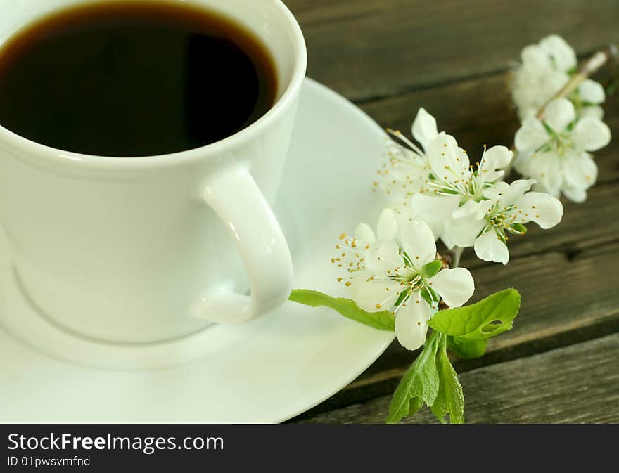 Cup of coffee and white flowers, closeup