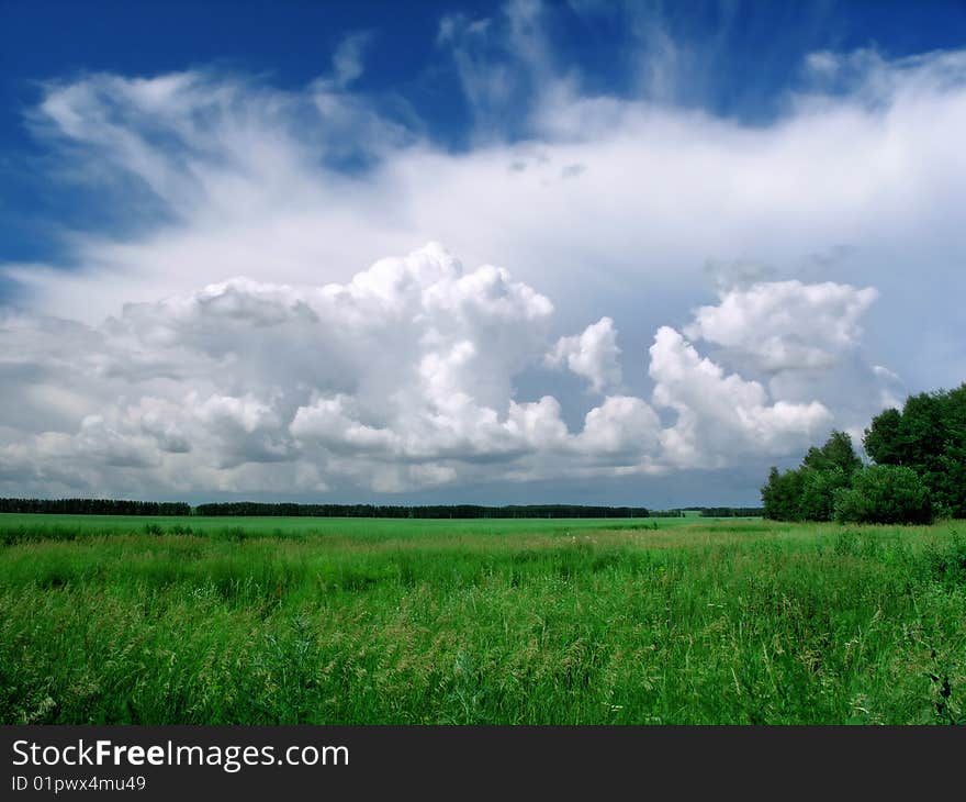 Clouds Over The Field