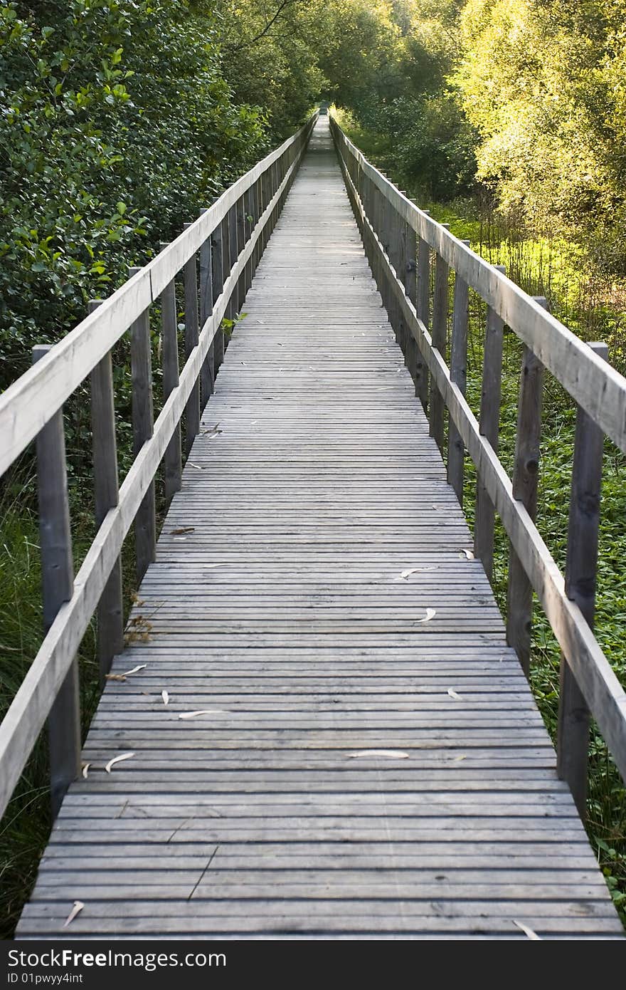 Walkway in nature park reserve. Walkway in nature park reserve