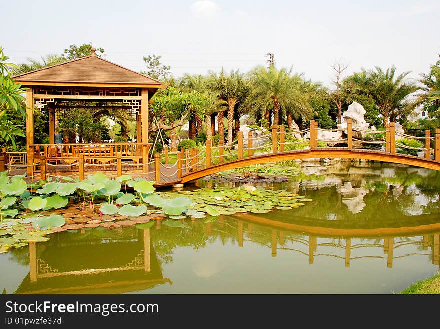 The Chinese wood bridge and pavilin in a villalotus pond garden. The Chinese wood bridge and pavilin in a villalotus pond garden.