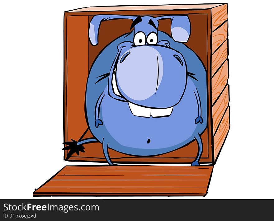 Donkey In Box