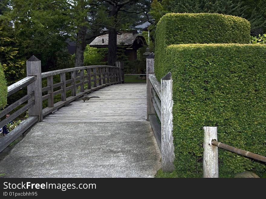 Nice wooden bridge with the running squirrel in a japanese garden