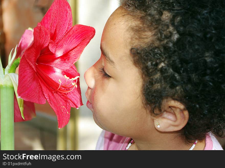 A red flower enface a face of a girl. A red flower enface a face of a girl