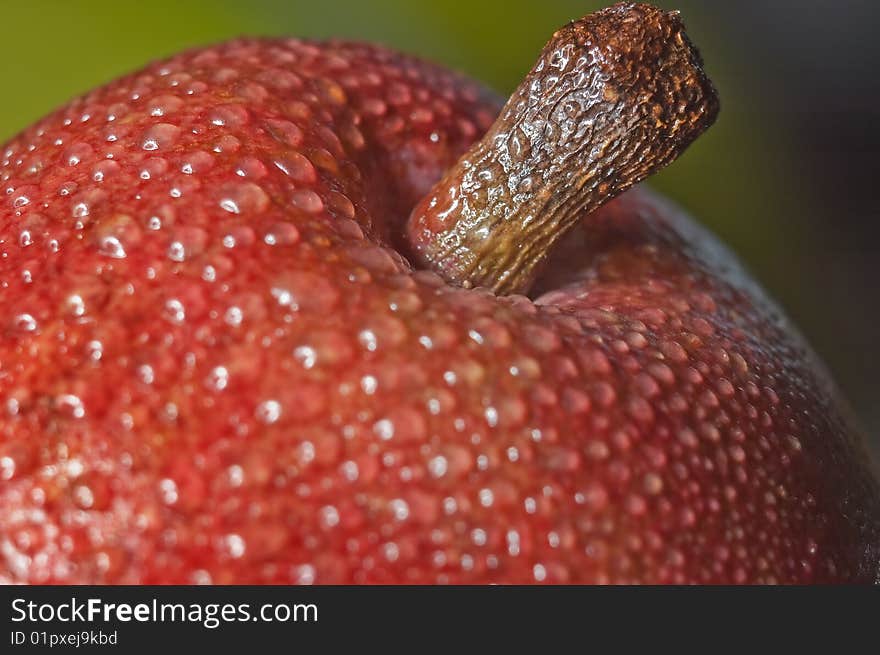 Macro close up shot of a red pear