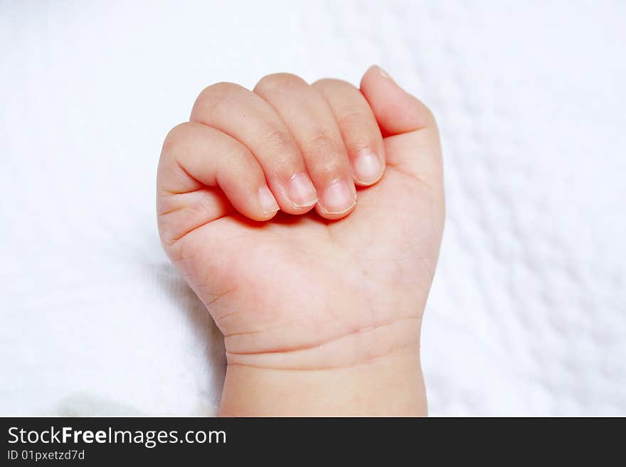 Hand of new born baby on a white blanket. Hand of new born baby on a white blanket