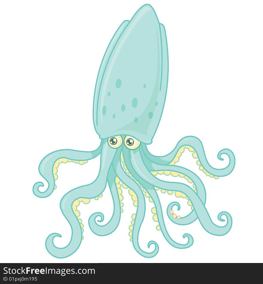 Octopus