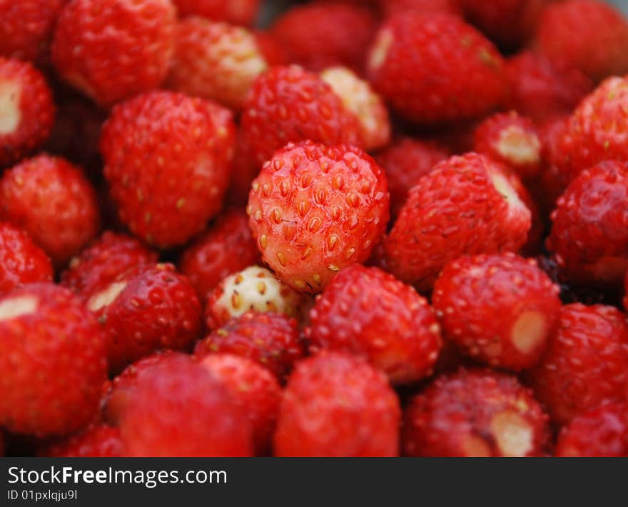 Close up of a group of fresh, succulent strawberries