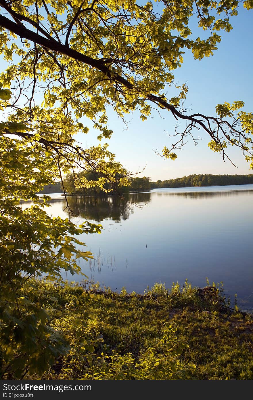 Island On Wood Lake