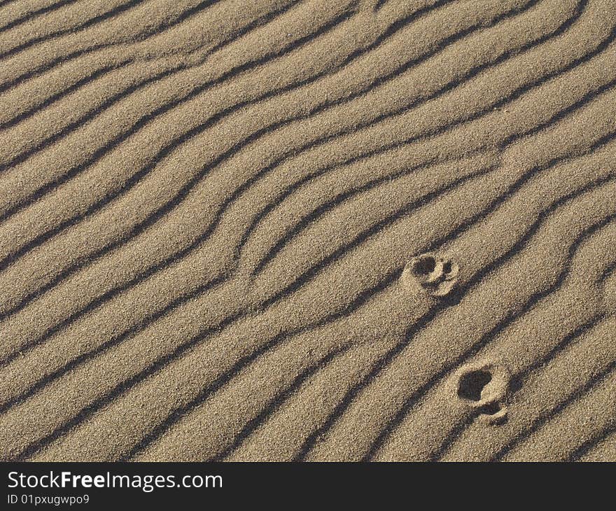 Texture sand beach in summer. Texture sand beach in summer