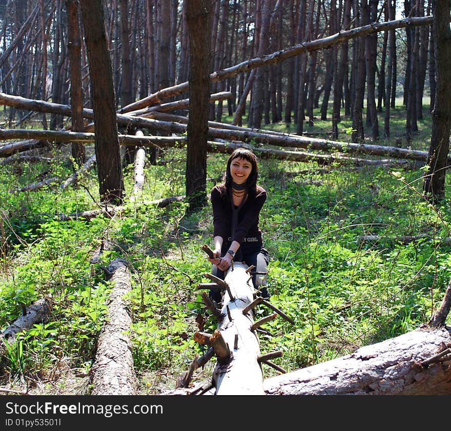 Young girl sitting on a branch of pine. Young girl sitting on a branch of pine