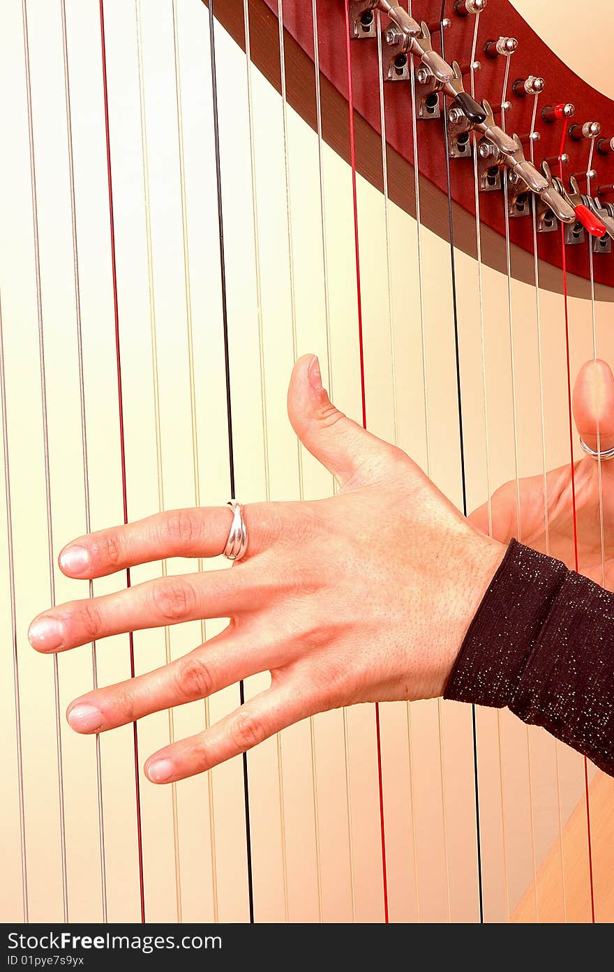 Hands closeup of Woman musician playing a harp