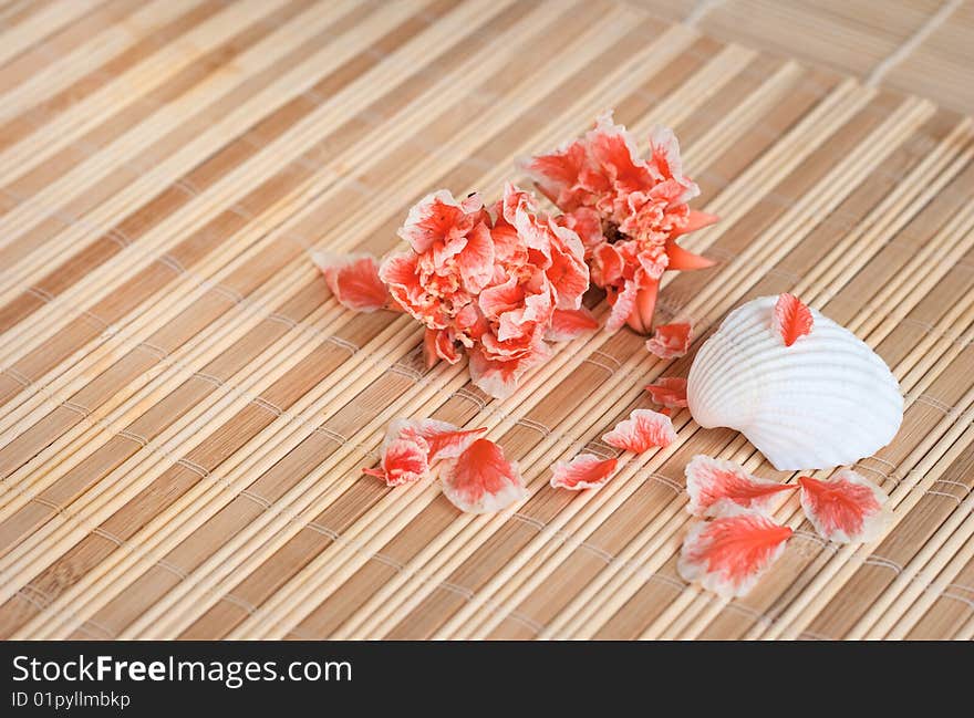 On the vacation: seashell and beautiful flowers. On the vacation: seashell and beautiful flowers