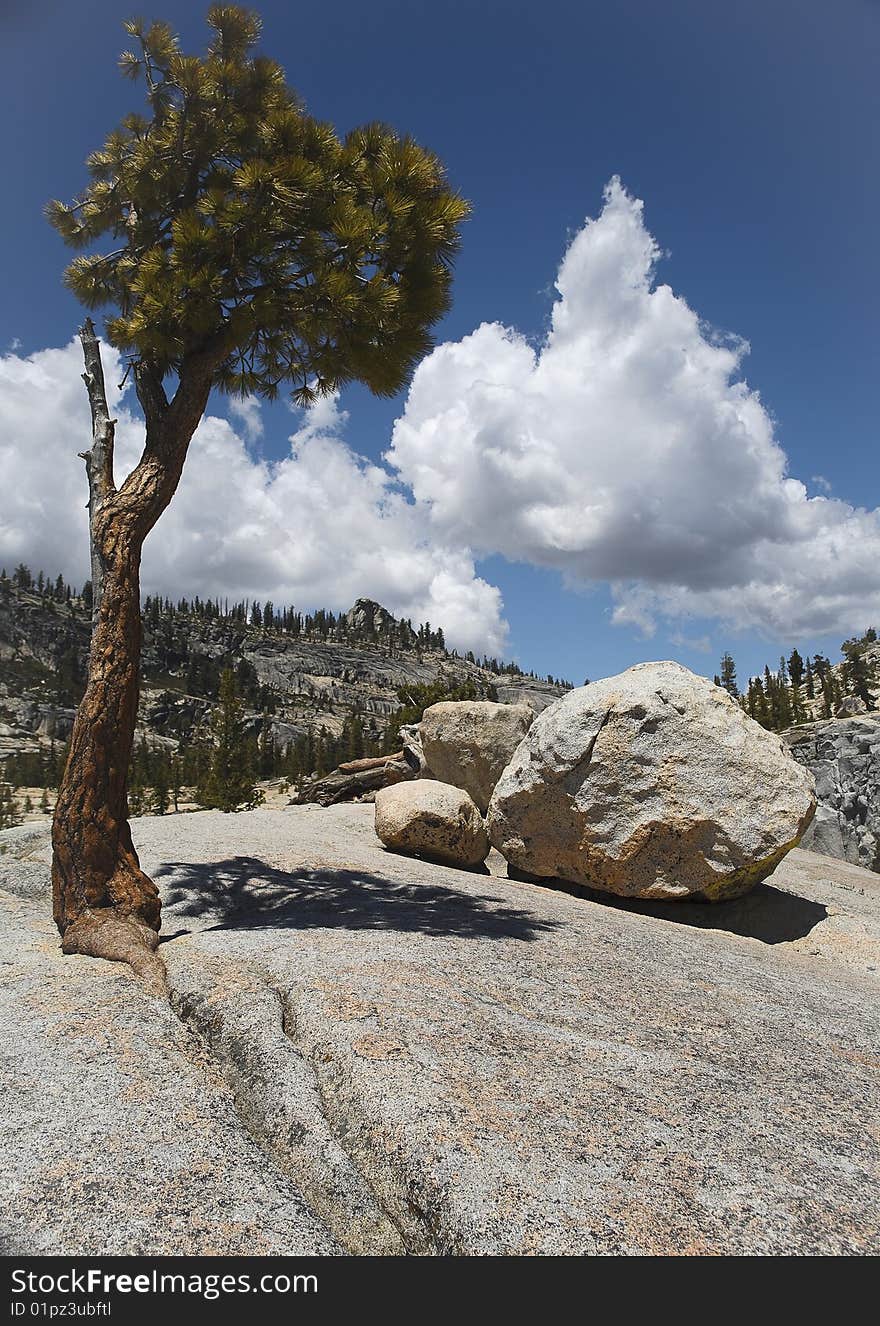 View of Yosemite National Park, California, USA. View of Yosemite National Park, California, USA.