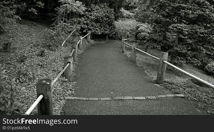 Road with a wooden fence in a tranquil garden in black and white