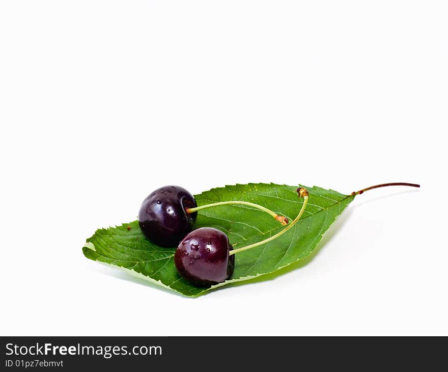 Two cherries on a leaf isolated on white.