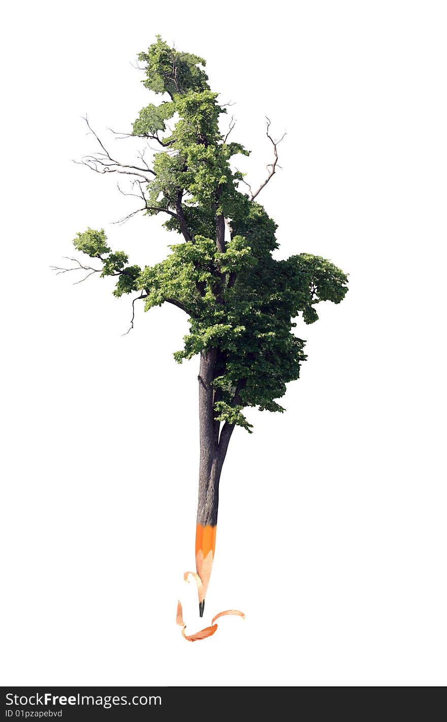 Pencil Tree