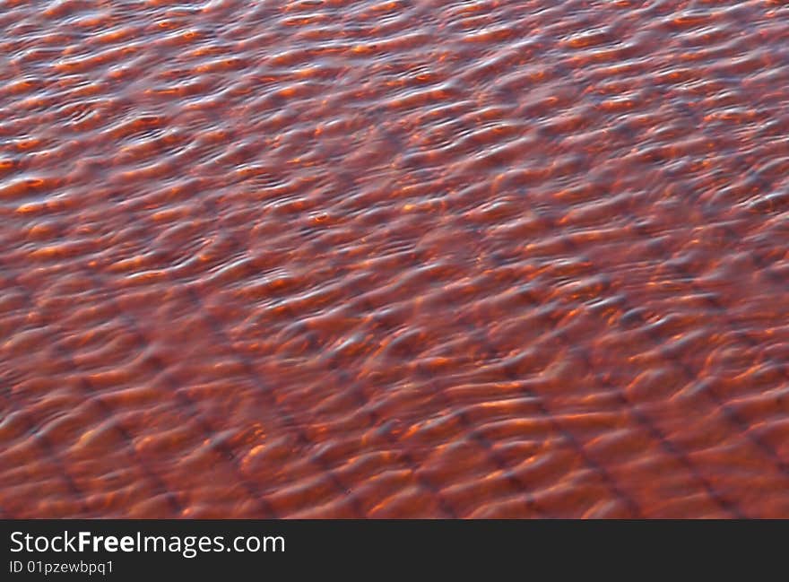 The background of the sandy bottom.