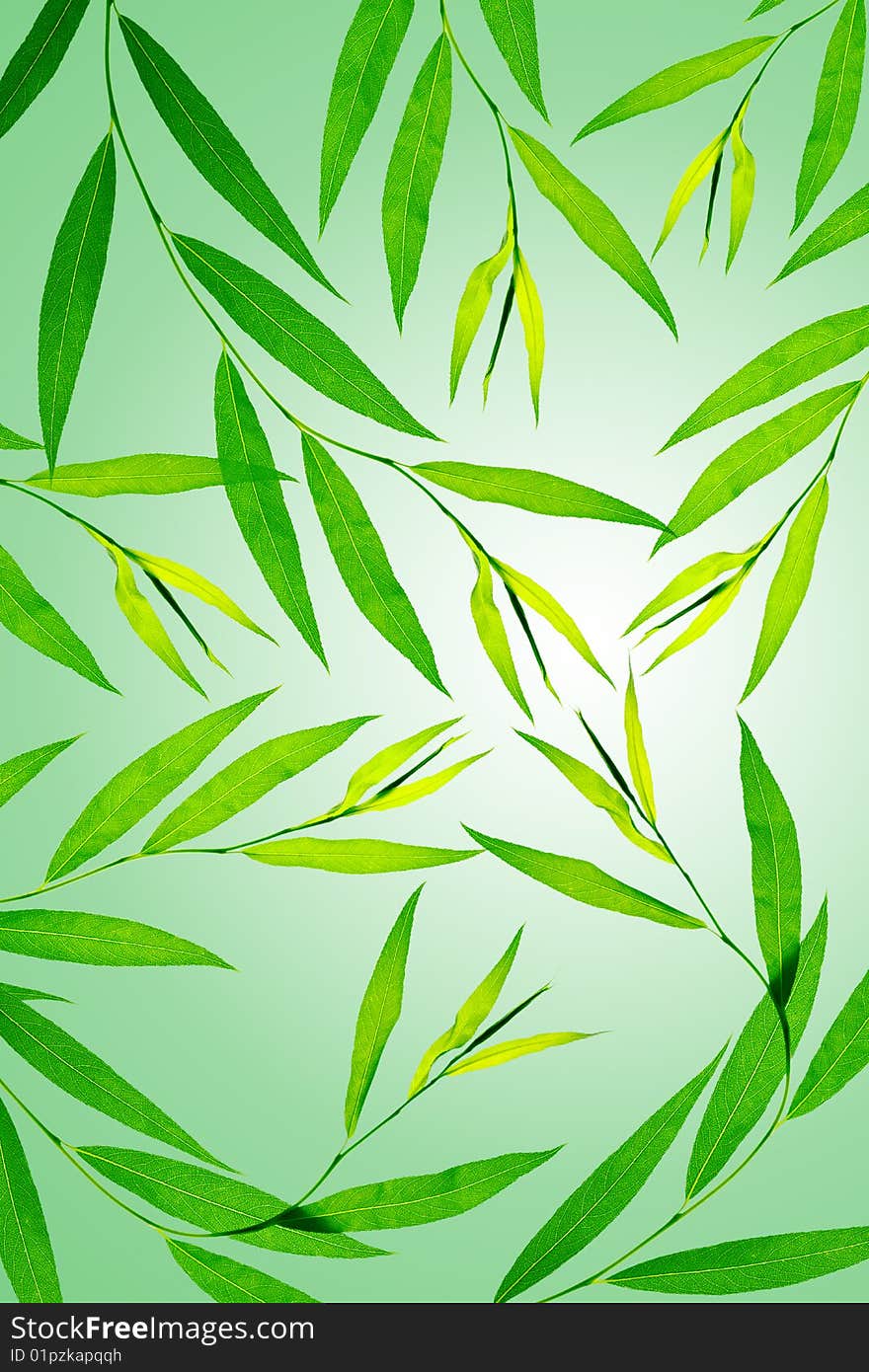 Abstract floral background: green plants over gradient background