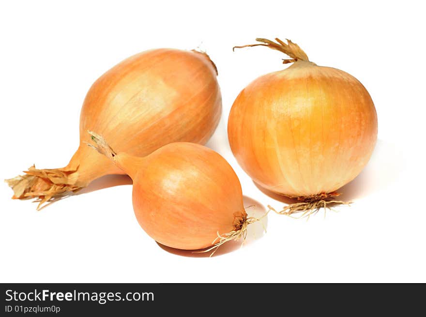 Onions On White Background.