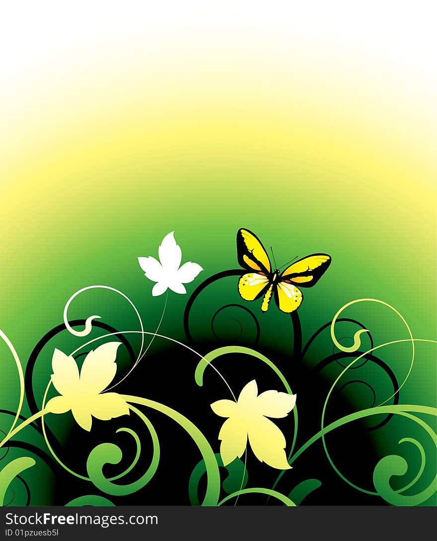 Butterfly on a floral background. Butterfly on a floral background