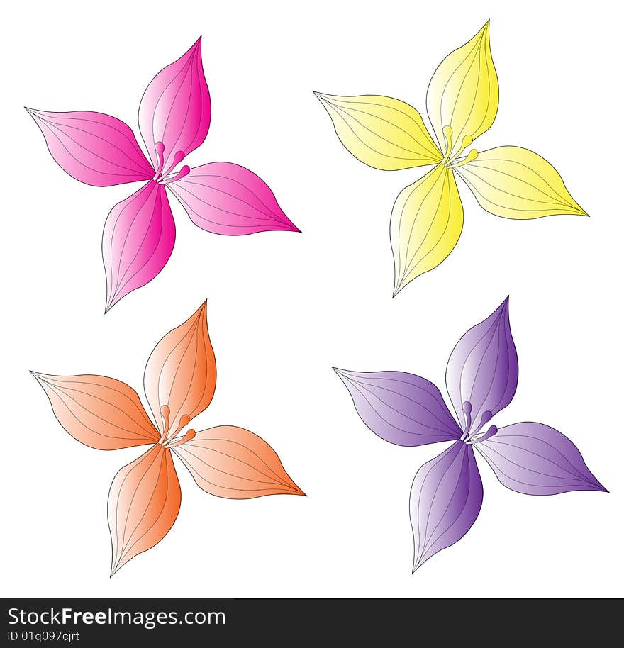 Four color flower on the white background