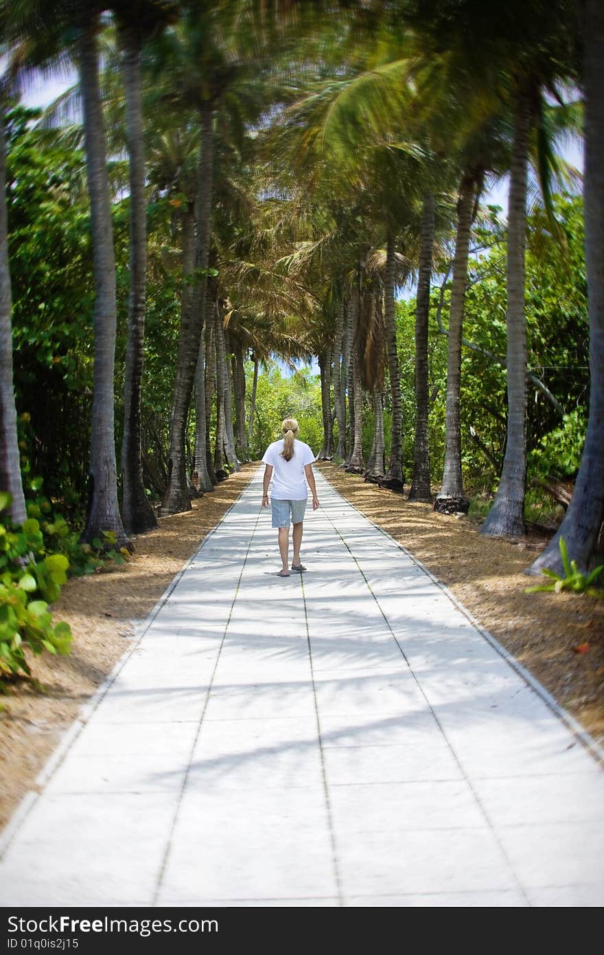 A woman enjoys a walk through a beautiful palm tree-lined path at a beautiful tropical resort. (Selective focus on the woman). A woman enjoys a walk through a beautiful palm tree-lined path at a beautiful tropical resort. (Selective focus on the woman)