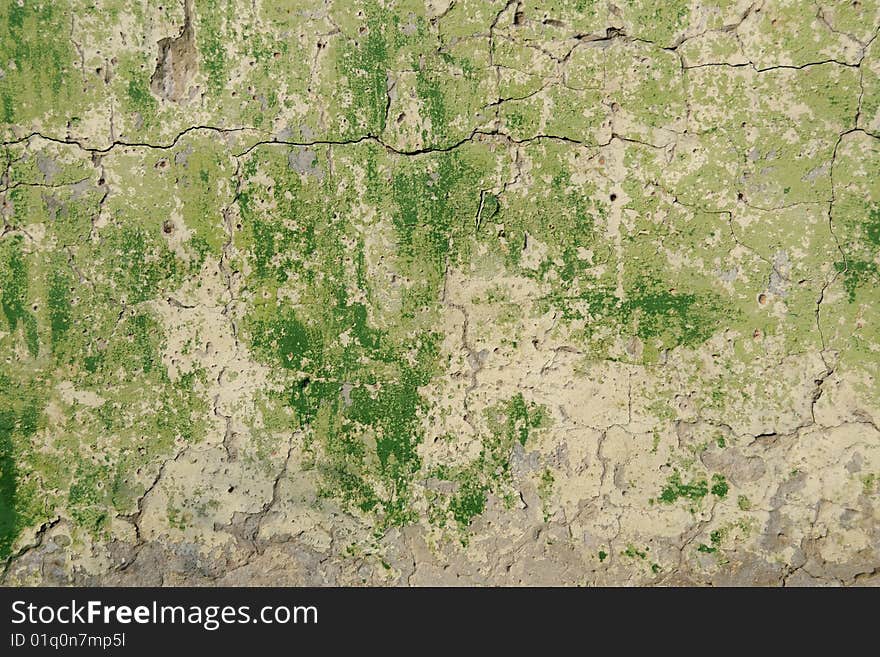 Old plastered wall texture, green tonality. Old plastered wall texture, green tonality