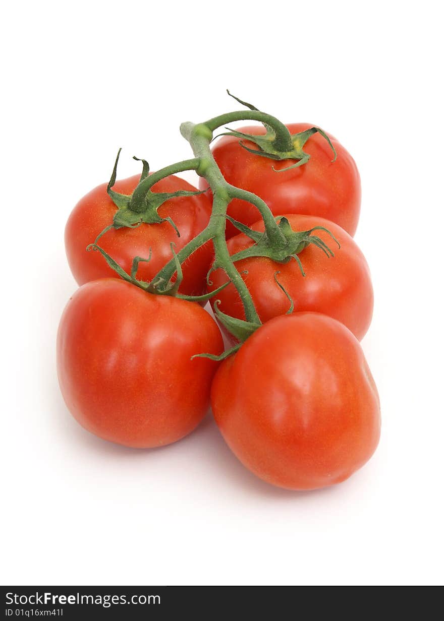 Tomato Vine