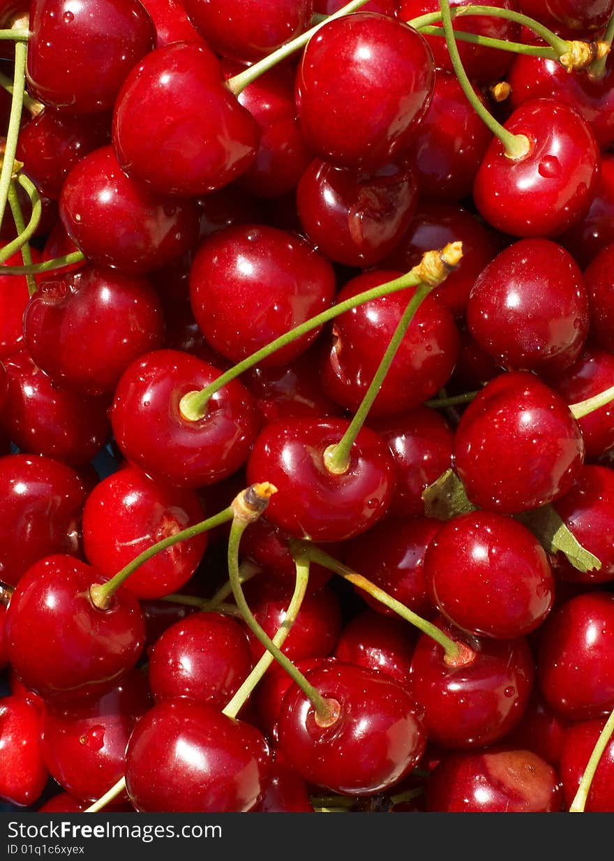 Red-ripe cherry