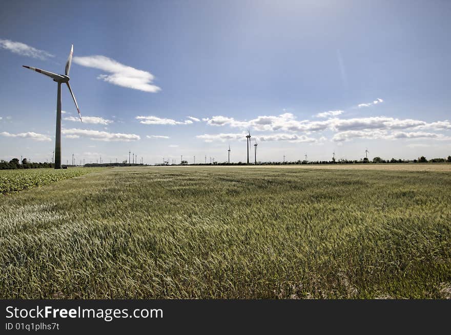 Wind energy mills with blue sky and grain