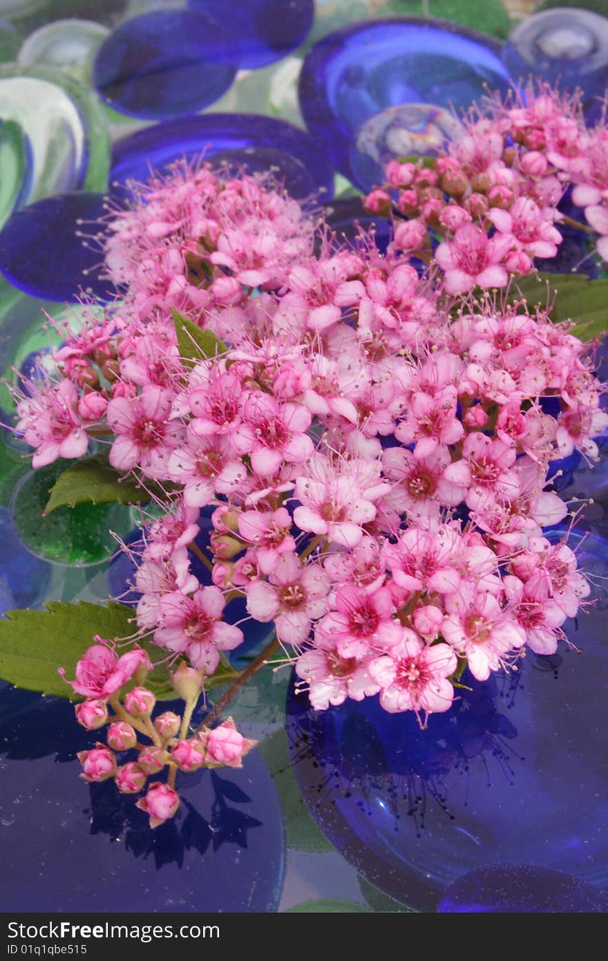 Floral Arrangement