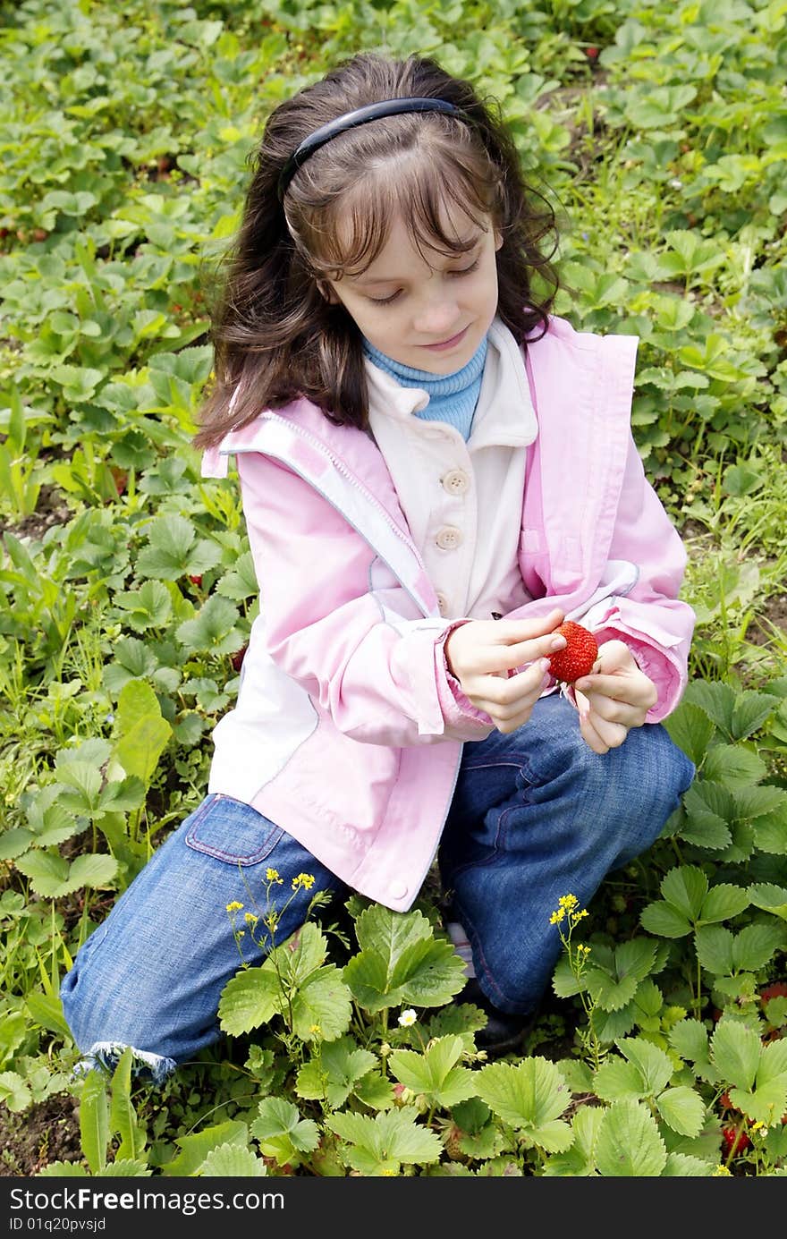 Beautiful girl collects ripe strawberries. Beautiful girl collects ripe strawberries