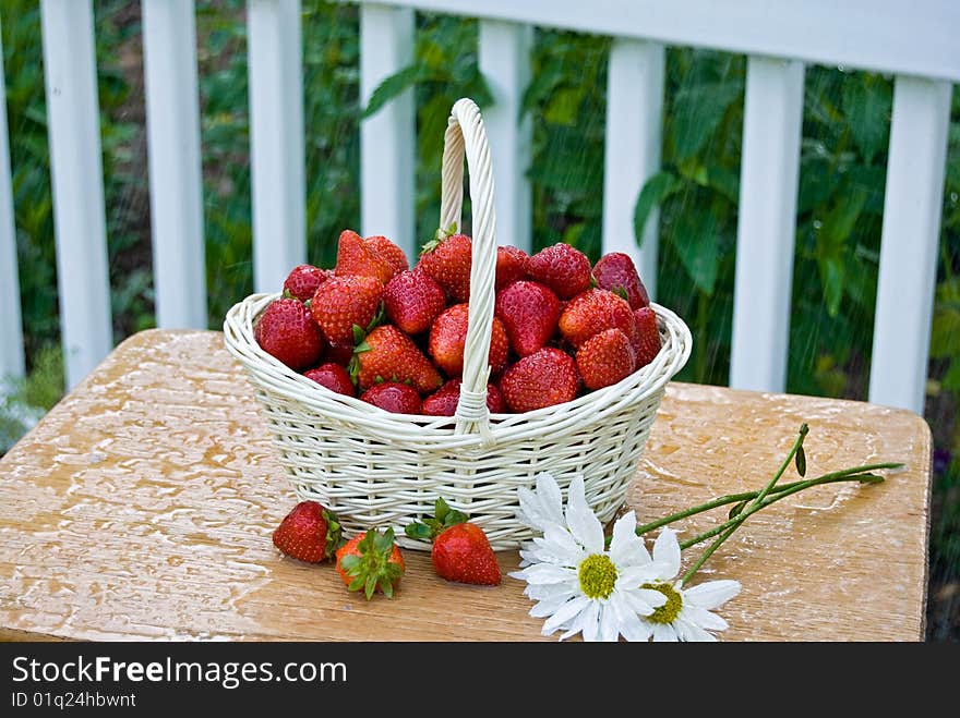 Strawberries in basket with daisies in the rain. Strawberries in basket with daisies in the rain.